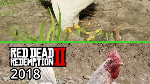 BB贝博艾弗森体育